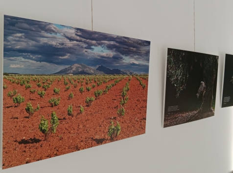 Exposición 