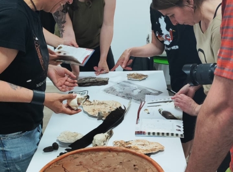 Taller de rastros