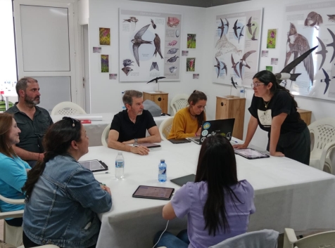Taller de ilustración digital